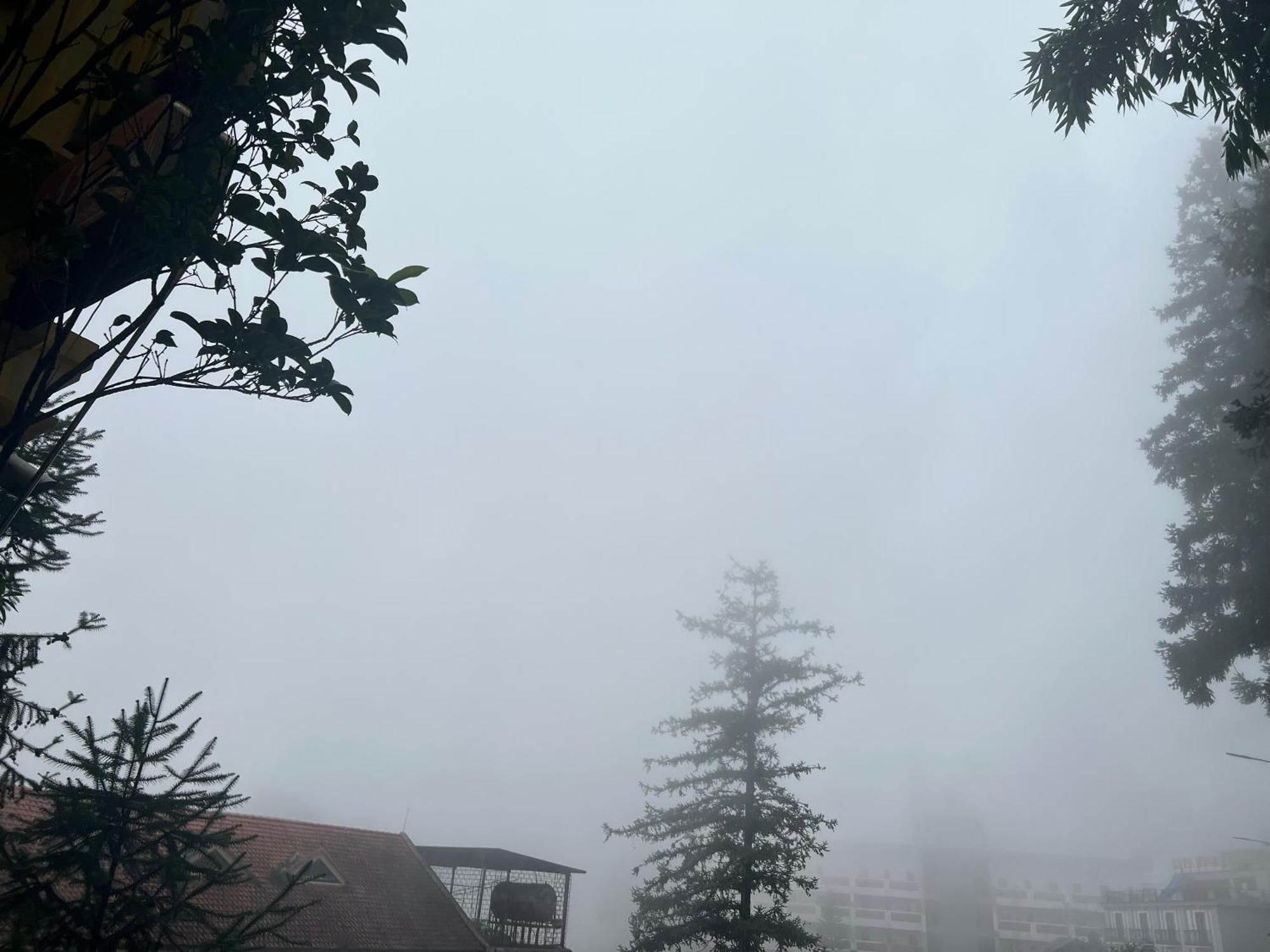 沙坝精英酒店 萨帕 外观 照片